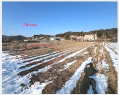  2024Ÿ56770  ȫõ ͹̸ ʸ 690      (1)