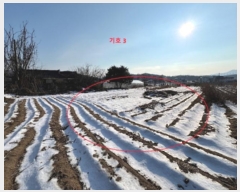  2024Ÿ56770  ȫõ ͹̸ ʸ 690      (1)