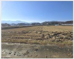  2024Ÿ��55275 ���� ������ ��� 713       ����(��)���