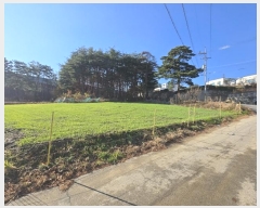  2024Ÿ��55275 ���� ������ ��� 713       ����(��)���