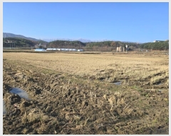  2024Ÿ��55275 ���� ������ ��� 713       ����(��)���