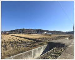  2024Ÿ��55275 ���� ������ ��� 713       ����(��)���