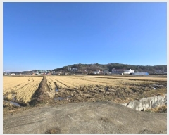  2024Ÿ��55275 ���� ������ ��� 713       ����(��)���