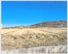  2024Ÿ��55275 ���� ������ ��� 713       ����(��)���