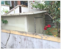  2024Ÿ��1469  ���ð��