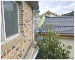  2024Ÿ1612  ؽ 򸪵 266-2       (1)