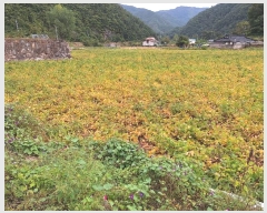  2024Ÿ1667  ô ̷θ õ⸮ 162-4      ()