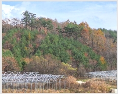  2024Ÿ1742   ջ ⸮ 169-1      (Ӿ)