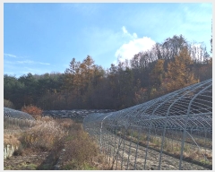  2024Ÿ1742   ջ ⸮ 169-1      (Ӿ)