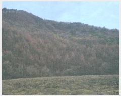  2024Ÿ��1902  �Ӿ߰��