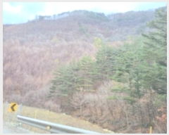  2024Ÿ��1902  �Ӿ߰��