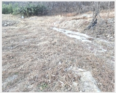  2024Ÿ1926   氭2223 15, 7704ȣ (,ȭ󰡾Ʈ)     Ʈ