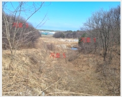  2024Ÿ51471   õ õ 41-3      (ķ)