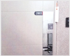  2024Ÿ��51730  ����Ʈ���