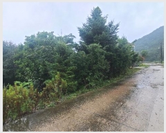  2024Ÿ53897    뵿 48      ܵ,ð