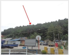  2024Ÿ��53972  �Ӿ߰��