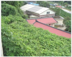  2024Ÿ��53972  �Ӿ߰��