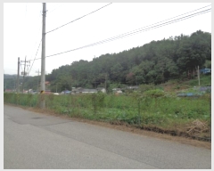  2024Ÿ��53972  �Ӿ߰��