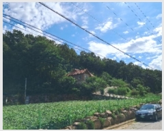  2024Ÿ��53972  �Ӿ߰��