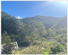  2024Ÿ��54548  �Ӿ߰��