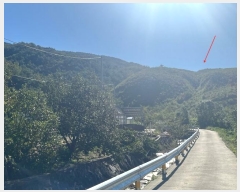  2024Ÿ54548    Ӱ 99      (Ӿ)