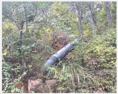  2024Ÿ54548    Ӱ 99      (Ӿ)