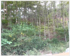  2024Ÿ54548    Ӱ 99      (Ӿ)