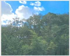  2024Ÿ54548    Ӱ 99      (Ӿ)