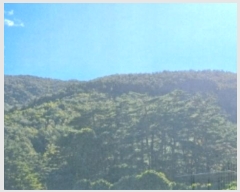  2024Ÿ54548    Ӱ 99      (Ӿ)