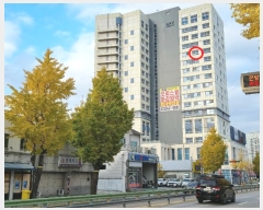  2024Ÿ��54890 ���� ������ ������� 285, 13��1329ȣ (����,������ ������)    ���ǽ��ڰ��