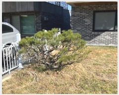  2024Ÿ��54944 ���� ������ ������ �л긮 641-129      ���ð��