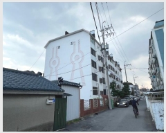  2024Ÿ55046   õ23 11, 2202ȣ (õ,3Ʈ)     Ʈ