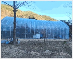  2024Ÿ55060    긮 790-4      ()