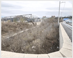  2024Ÿ��55084  �����