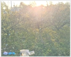  2024Ÿ��55084  �����