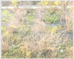  2024Ÿ��55084  �����