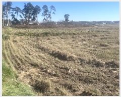  2024Ÿ55169   õ ̳븮 149-2      (1)