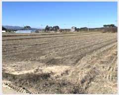  2024Ÿ55169   õ ̳븮 149-2      (1)