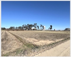  2024Ÿ55169   õ ̳븮 149-2      (1)