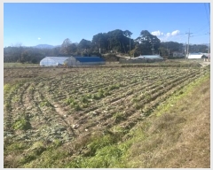  2024Ÿ55169   õ ̳븮 149-2      (1)