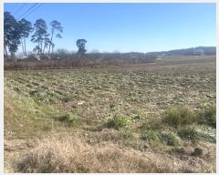  2024Ÿ55169   õ ̳븮 149-2      (1)