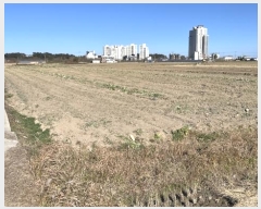  2024Ÿ55169   õ ̳븮 149-2      (1)