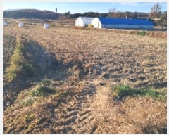  2024Ÿ55169   õ ̳븮 149-2      (1)