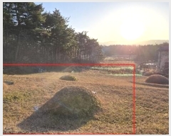  2024Ÿ��55220 ���� ������ ��õ�� �Ǳ��� 303      ����(��1)���