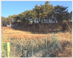  2024Ÿ��55220 ���� ������ ��õ�� �Ǳ��� 303      ����(��1)���