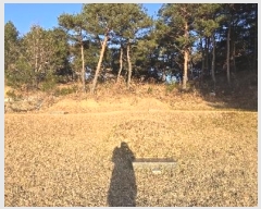  2024Ÿ��55220 ���� ������ ��õ�� �Ǳ��� 303      ����(��1)���