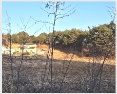  2024Ÿ��55220 ���� ������ ��õ�� �Ǳ��� 303      ����(��1)���