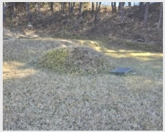  2024Ÿ��55220 ���� ������ ��õ�� �Ǳ��� 303      ����(��1)���