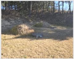  2024Ÿ��55220 ���� ������ ��õ�� �Ǳ��� 303      ����(��1)���