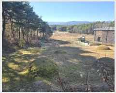  2024Ÿ��55220 ���� ������ ��õ�� �Ǳ��� 303      ����(��1)���